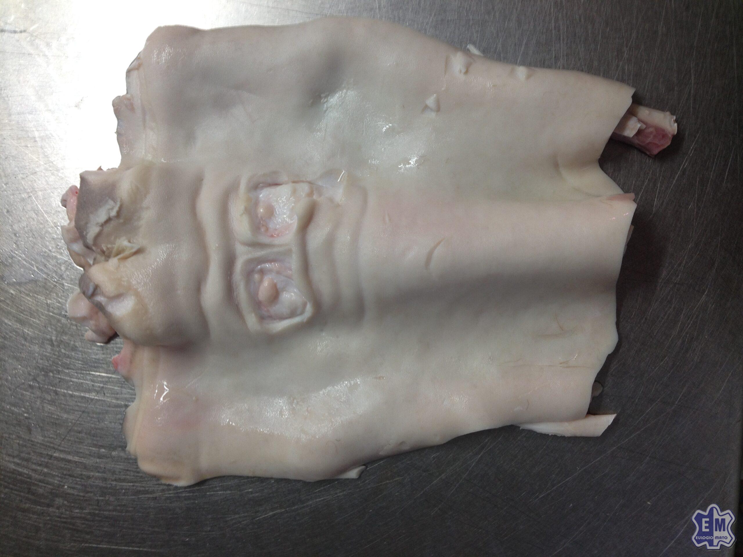 Carne de pata (12)