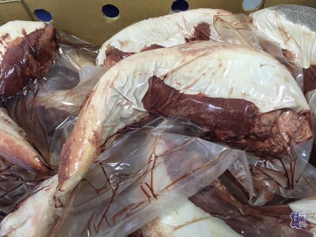 Lengua vaca 2