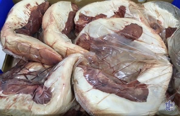 Lengua vaca
